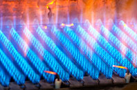 Boscoppa gas fired boilers